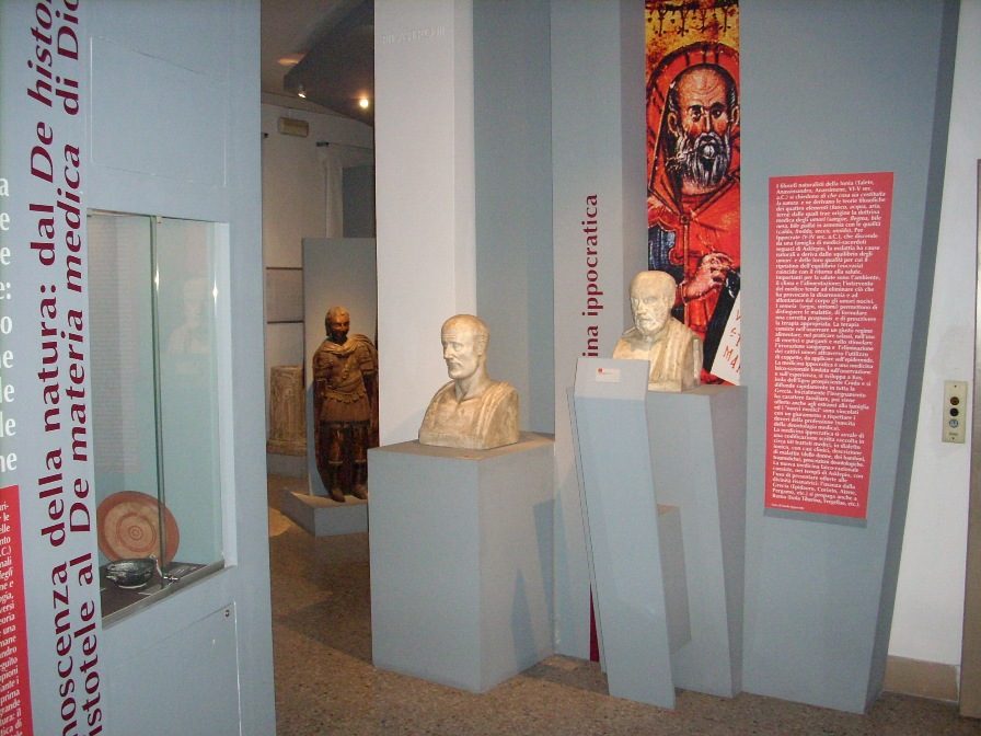 Museo%20di%20Storia%20della%20Medicina%2C%20La%20Sapienza%2C%20Rome%20-%2008.JPG